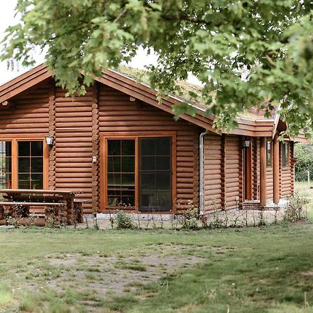 Bij De Appelhof Villa Valkenswaard Eksteriør billede